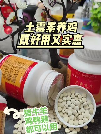 鸡鸭鹅养殖#家禽养殖#农村散养土鸡#科学养鸡#三农养殖