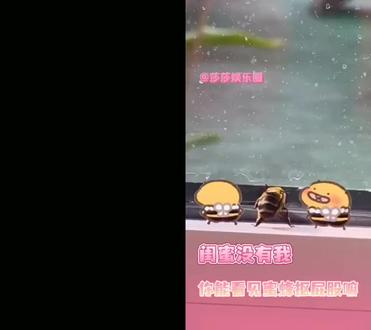 和 @莎莎娱乐圈 一起 #合拍