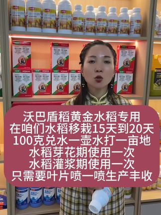 沃巴盾稻黄金水稻专用,在咱们水稻移栽15天到20天,100克兑水一壶水打一亩地,水稻芽花期使用一次,水稻灌浆期使用一次,只需要叶片喷一喷生产丰收#沃巴盾稻黄金#稻黄金水稻专用#稻黄金水稻叶面肥 #稻黄金水稻专用叶面肥 #沃巴盾稻黄金水稻叶肥
