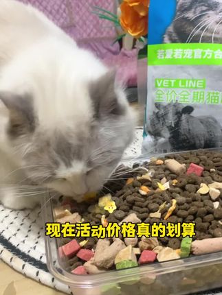 墙裂推荐一款性价比拉满的猫粮,看得见的冻干,营养均衡,猫咪嘎嘎爱吃,活动中,真的可以试试#猫粮 #猫粮推荐