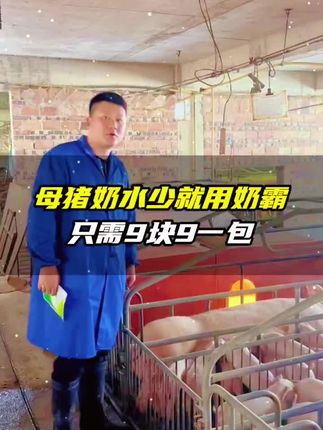#养殖 #养猪人加油干 #养猪人不容易 #养猪 #养殖技术 小猪没奶水怎么办 看过来 不自用不推荐