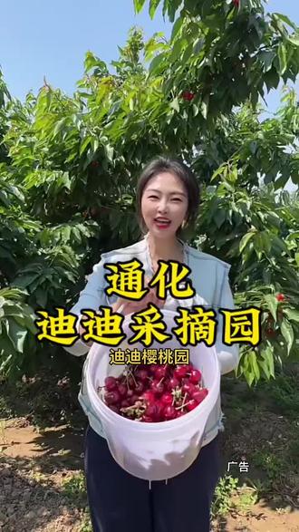 有吃过齐早樱桃的吗?新品种,嘎嘎甜#大樱桃果园 #樱桃熟了 #齐早大樱桃