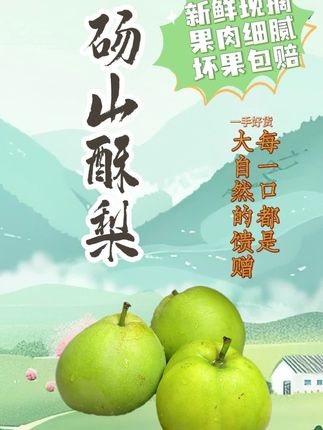 以下是五十五字的砀山酥梨卖点: ,砀山酥梨来啦,这个梨不仅果大核小,皮薄多汁,而且口感酥脆甘甜,果肉洁白如玉,入口即酥,落地无渣,营养丰富,快来尝尝吧#应季水果 #夏季适宜食用的水果 #当季水果推荐 #砀山酥梨 #砀山梨