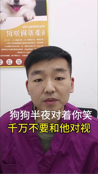 狗狗半夜对着你笑千万别和它对视#狗狗#萌宠#养狗人#养狗经验分享#新手养狗必看
