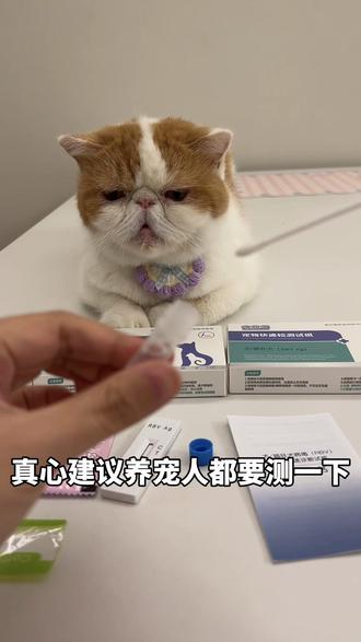 养猫养狗一定要提前做好狂犬检测,避免关键时候往医院跑#养猫新手攻略 #养猫新手 #狂犬疫苗