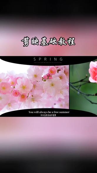 #手机剪映基础教程#照片轮播背景墙 #手机视频编辑技巧 #剪辑小技巧#