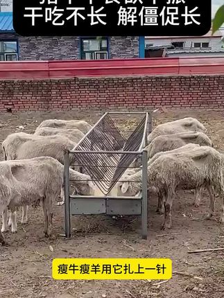#养殖场必备