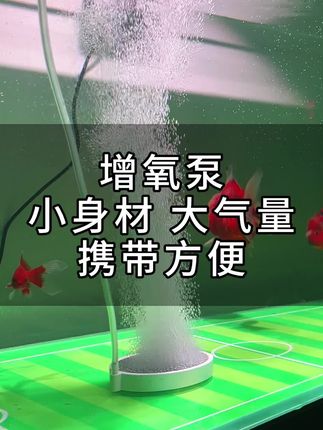 鱼缸增氧泵,小身材大气量,还是usb接口,携带方便,不管是给鱼缸打氧或者外出钓鱼打氧都很方便!#增氧泵#鱼缸增氧#鱼缸增氧泵#水族用品#养鱼日记
