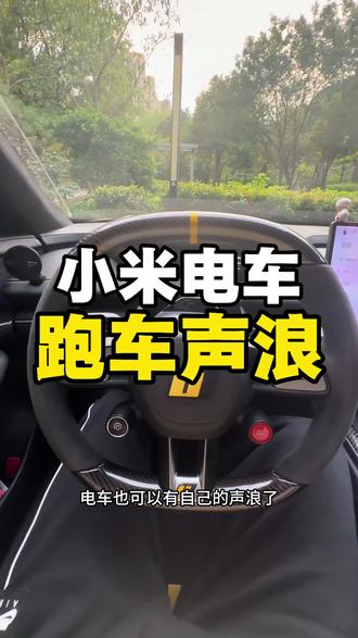 小米汽车还能这样玩,跑车启动声浪#小米汽车 #跑车声浪 #声浪分享 #小米su7 #小米yu7