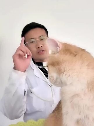 #犬猫通用 #复方霉菌素软膏 狗狗猫咪耳肤灵同配方#耳螨#耳炎#真菌