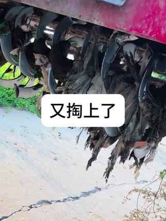 愁人啊,1504拖拉机带耕幅2.3米旋耕机作业旋耕加施肥#三农#开口销#旋耕刀#还田机销轴#传动轴钢销