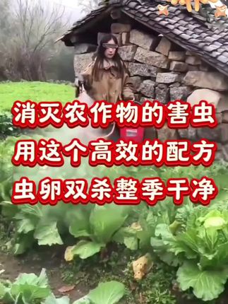 #知识分享 #农业种植 #三农流量扶持计划 #病虫害防治 #高效氯氟氰菊酯