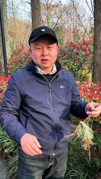 很多人都认识茵陈,它的作用是啥你知道吗?#艾草帽子哥 #聚发源