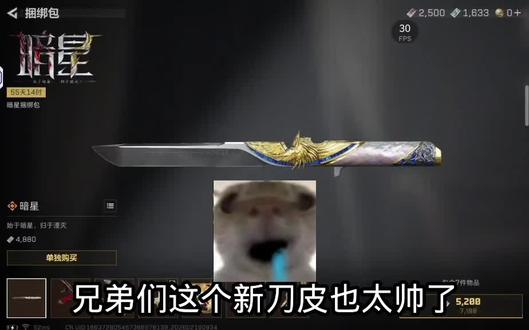 #三角洲行动 挑战肝砖拿下新刀皮