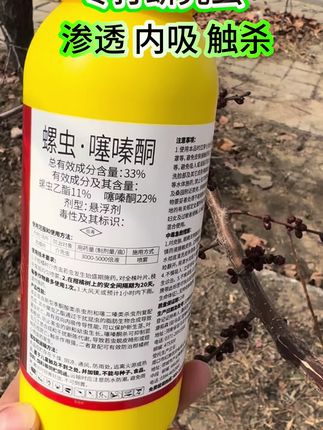 螺虫噻嗪酮专业防治蚧壳虫,渗透内吸胃毒,一瓶1000-1500斤水#螺虫噻嗪酮 #蚧壳虫 #蚧壳虫怎么治 杀虫剂