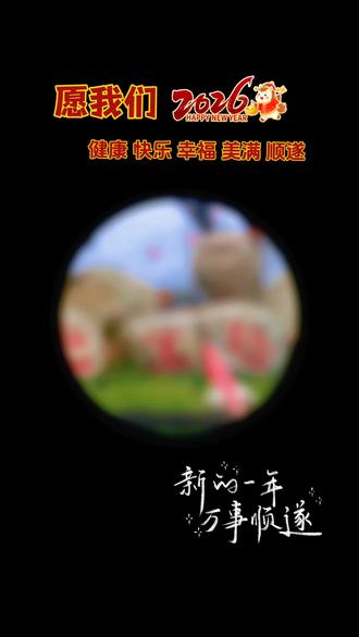 元光生态文化公园看油菜花