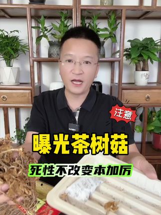这个坑人的片子,到底是洗心革面,还是死心不改#测评 #避坑 #智商税