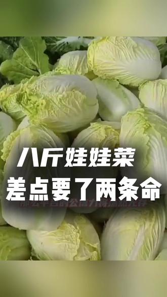 8斤娃娃菜17.8元,吃出30万医疗费!这起“毒娃娃菜”事件,暴露出平台监管的惊人漏洞,食品安全的全链条上,没有一个环节可以“隐身”!#夫妻食用网购娃娃菜中毒