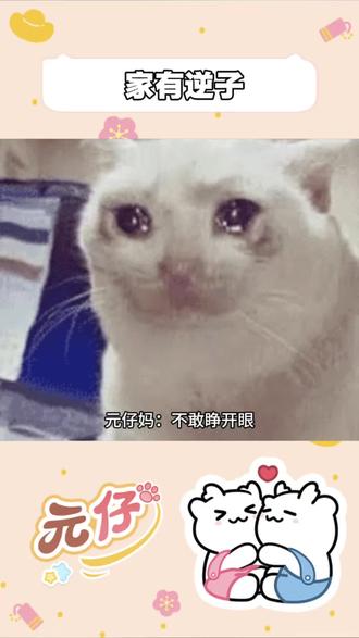 第一批养娃的00后已经破防到不行了 #元仔 #电子宠物 #情侣