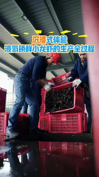 沉浸式体验液氮速冻小龙虾的生产全过程!#小龙虾 #液氮锁鲜 #谁能看出这有什么门道 #新农人计划 #科威嘉尼石俊勇