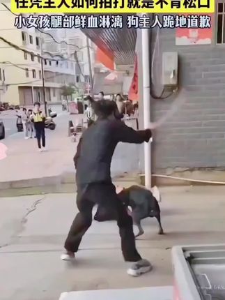 #应急防身棍#车载武器#防身打狗棒#防身武器#好物推荐
