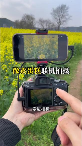 像素蛋糕监视器功能 苹果手机已上线 赶紧试试吧#联机线#像素蛋糕 #手机夹