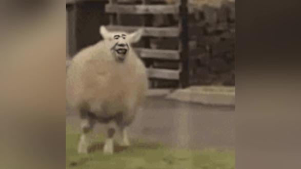 综艺还得看芒果TV@震业和他的朋友们 #震业和他的朋友们 #谢震业 #刀哥 #尼娅 #旅行的意义