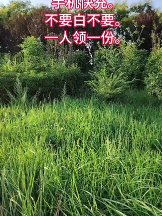 手机超级快充,一人领一单,快冲呀 #手机快充数据线#充电器 #爆款热卖中 #超便宜超划算#薅羊毛的快乐