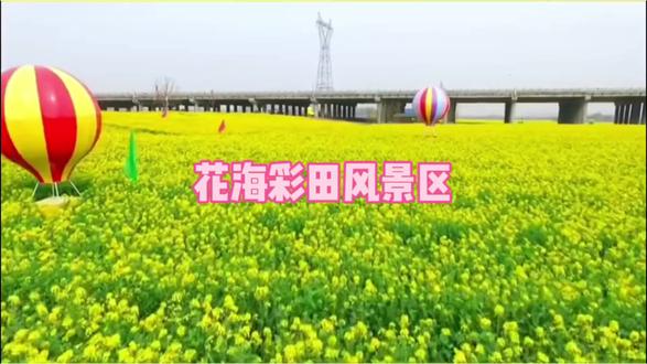 山东济宁.花海彩田风景区,3月28号正式开园。9块9就能入园两次,一票游玩千亩油菜花海。一大片一大片的花海,特别浪漫!#花海彩田风景区 #牛楼小镇油菜花海#随手一拍都是美景 #抖音带你去赏花 #旅行推荐官 @DOU+上热门 @抖加🔥上热门🔥dou+🔥热点宝