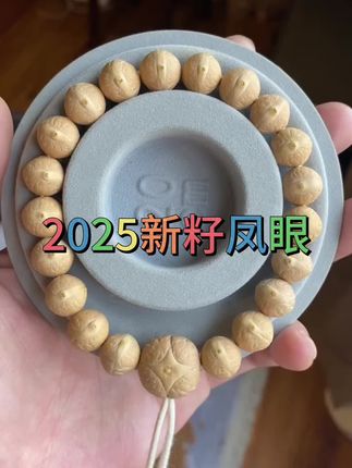 2025年凤眼菩提新籽来了,颗颗饱满精挑的籽,毕业级盘玩体验#文玩手串 #盘串 #凤眼菩提 #文玩爱好者 #凤眼菩提新籽