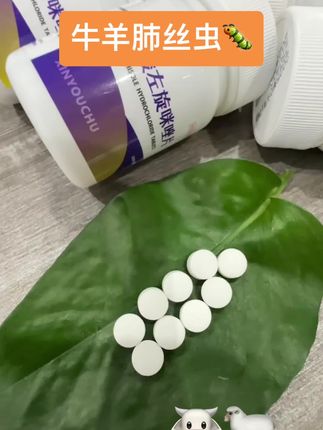 #牛羊驱虫 #肺丝虫