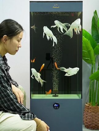 #鱼缸 #客厅装修 #养鱼日记 #玻璃缸中的大自然