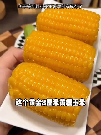 【25年头茬新货】灶小美黄金八厘米黄糯玉米内蒙古新鲜营养早餐低脂