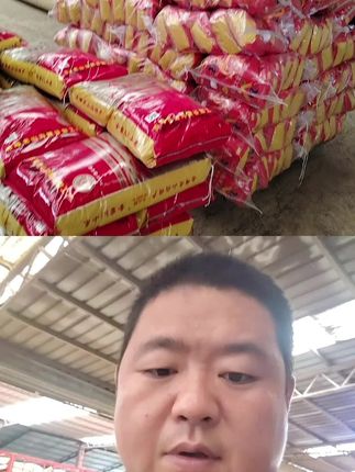 赤峰特色产品赤峰小米,同样的品种也是赤峰生长的好。 #好种子才能有好收成 #新民味道田园生活节 #内蒙古赤峰黄小米