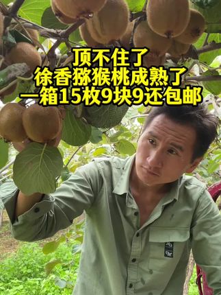 #源头好生鲜 #徐香猕猴桃#优质农产品
