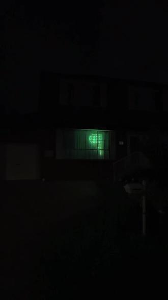 小恐龙来啦~#春节 #彩灯 #小恐龙装饰灯