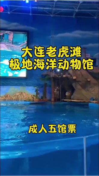 大连老虎滩极地海洋动物馆来福利🧧🧧🧧🧧🧧🧧🧧#旅游 #旅游攻略 #旅游推荐官 #亲子互动 #亲子游玩好去处