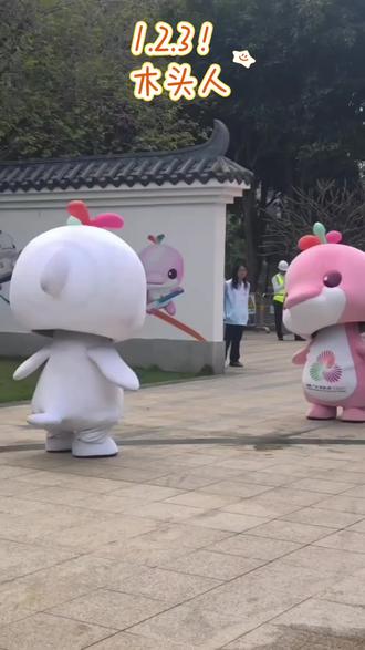 宝宝们玩得开心😆#萌物 #大湾鸡 #萌动奇迹 #广州杂技团鸡杂