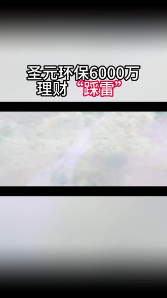 圣元环保6000万理财“踩雷”
