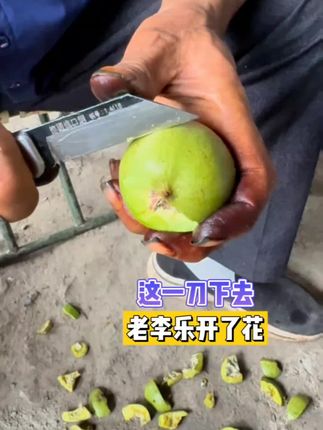 这个蟠龙纹值了 #核桃青皮 #青皮核桃 #文玩核桃爱好者 #手功能锻炼#文玩核桃