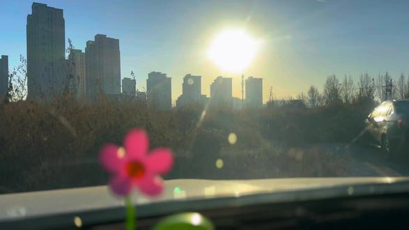 顺丰:“让家的温度,以最快的速度,抵达你的身边!”#顺丰 #速暖同行 #过年
