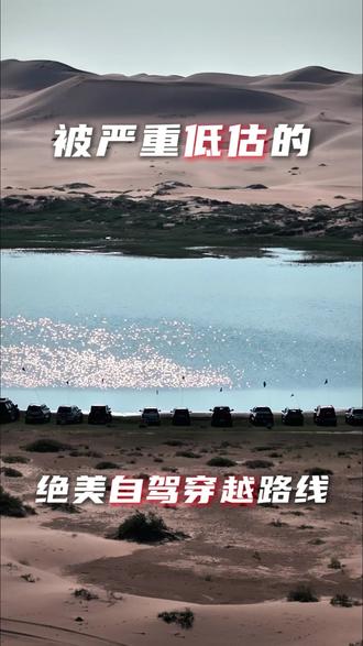 被低估的绝美自驾路线#宁夏 #银川 #自驾游 #户外