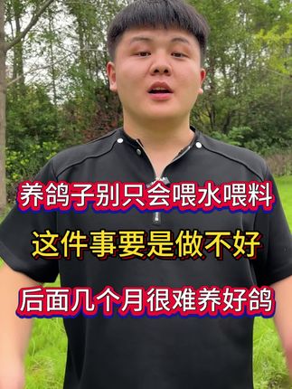 养鸽子别只会喂水喂料,这件事要是做不好,后面几个月你都很难养好鸽,#鸽子#养鸽#养鸽人 #养鸽技术分享 #新手养鸽