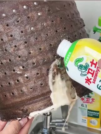 #无穷小亮掌管搞笑科普的神 #日常小常识 #干货分享视频 #美食冷知识