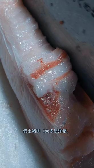 #同城热门话题🔥 2. 不吃饲料不催长,土猪鲜香藏不住,每一口都是小时候的肉香记忆~