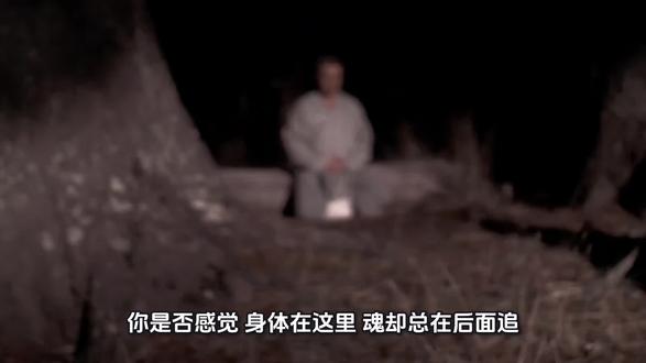 既自以心为形役,奚惆怅而独悲#精神 #觉醒