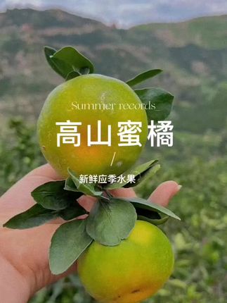 #新鲜早熟蜜橘 甜度高,橘味浓,汁水充足,喜欢吃橘子🍊的小可爱🉑以试试哦,酸甜可口,还是小时候的那个味道!