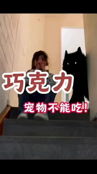 复康宠物医院🏥🏥🏥