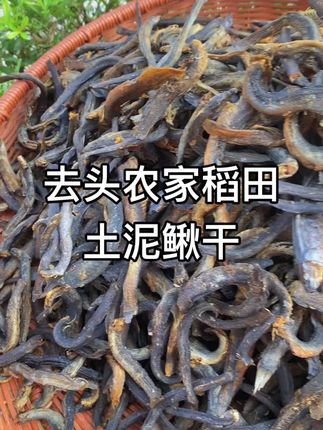 没刺无沙不苦,去头农家稻田土泥鳅干,去了头在也不用胆心头部有沙了,炒着吃蒸着吃都不错#泥鳅#泥鳅干#鱼干#小鱼干#广西