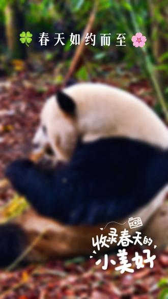 《西部诗韵》刘长荣摄影作品。